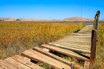A wooden boardwalk above the beach