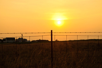 Fototapeta premium sunset through fence