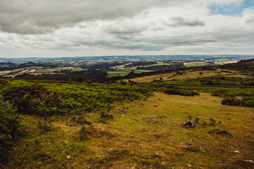 Fototapeta premium countryside in devon united kingdom