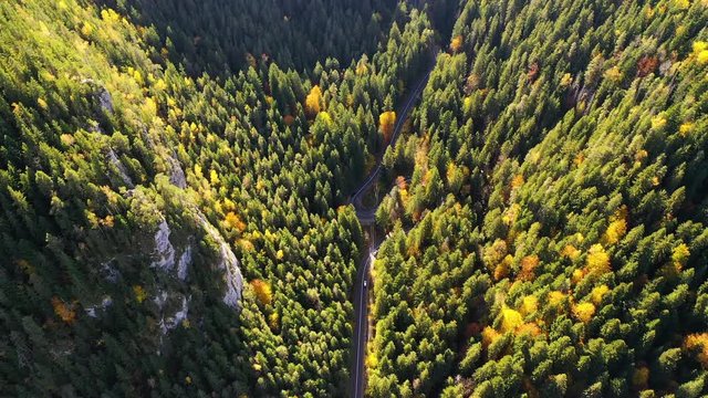 Sunny autumn view of Cheile Bicazului gorge in Transylvania, Romania