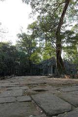 Fototapeta premium Siem Reap Cambodia
