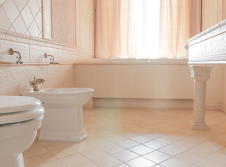  a bidet and a toilet stand in the bathroom