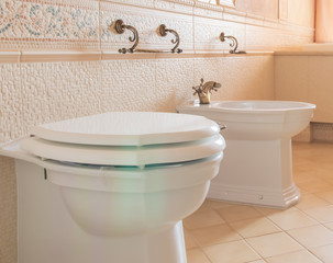  a bidet and a toilet stand in the bathroom