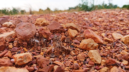 Crisis canyon dry red rock land climate chage 