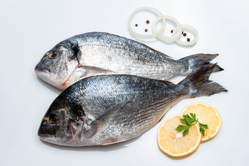 fresh fish in studio