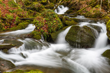 Arroyo Valdecuevas y rocas cubiertas de musgo. Hayedo de Cabornera de Gordón, León, España.