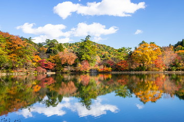 秋の再度公園、神戸市北区六甲山にて