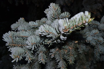 Красивый зимний  пейзаж в лесах и парках 