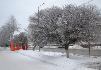Красивый зимний  пейзаж в лесах и парках 