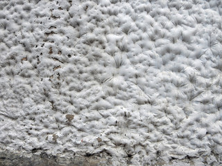 abstract white gray embossed texture concrete plastered background