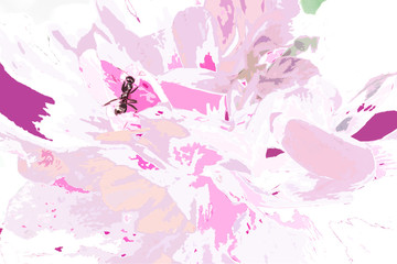 蟻とピンクの花