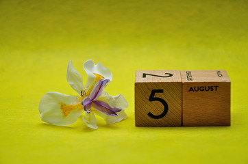 5 August on wooden blocks with an african iris on a yellow background