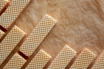 Wafers on the brown paper floor