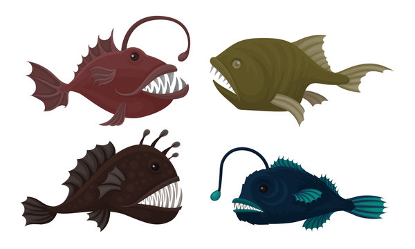 Deep Sea Creatures Vector Set. Marine Dangerous Fish With Sharp Teeth
