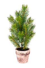 Small decorative Christmas tree in a ceramic pot