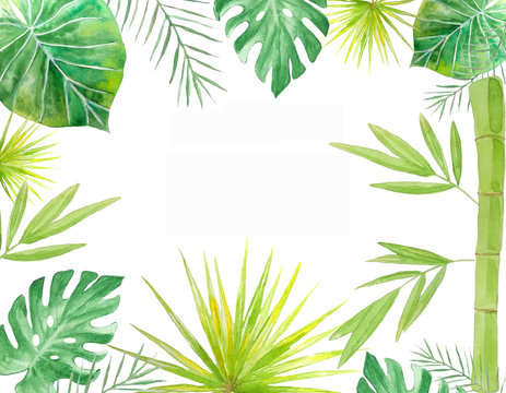 Watercolor green tropical leaves. Ideal background for digital wallpapers, web sites, photo albums, scrapbooking and other creative ideas. © Irina