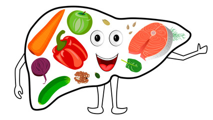 Food for a healthy liver. The liver smiles and shows a thumbs up.