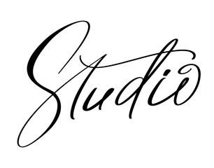 Studio calligraphy hand drawn vector logo text and label for any use, on a white background. Just place your own brand name