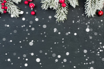 Christmas border with green Xmas tree twig and white snow on bla