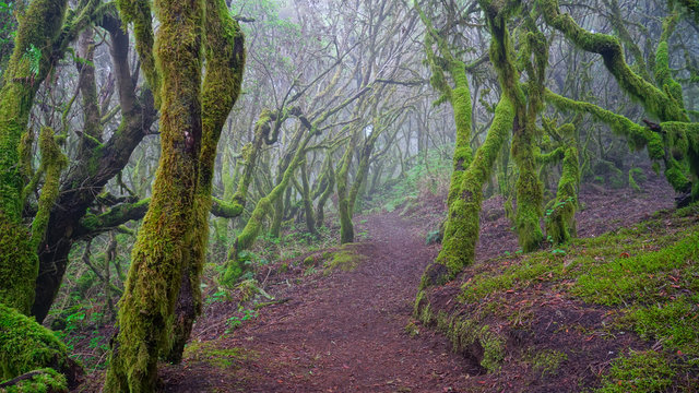 El Hierro. Islas Canarias