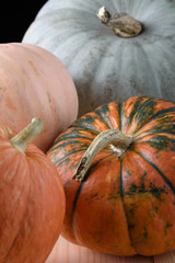 Pumpkins of different colors lie side by side on a wooden surface. Close-up, vertical cropping.