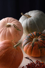 Pumpkins of different colors lie side by side on a wooden surface. in the foreground a sprig of dried mountain ash, the background is darkened.