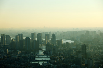 Beautiful city landscape of Tokyo city in the sunrise and ดaint fog, cover the wind.