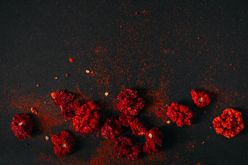 Red spicy dry carolina reaper. Dark food photography. Copy space.