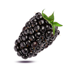 Blackberry isolated on white background with clipping path