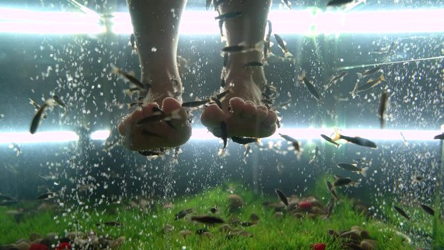 Procedures take place in the cabin. Peeling and massage fish Garra Rufa secrete specific enzymes that promote regeneration and improve skin elasticity. Only damaged skin on the legs is removed.
