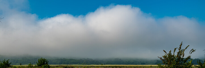 Morning clouds in the meadow. Landscape in the countryside.
