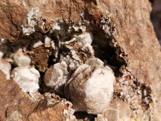 minéraux - quartz et sidérite de vizille