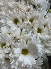 bouquet of white flowers