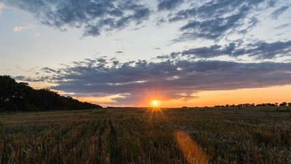 Naklejka na ściany i meble Beautiful Sunrise over the field.Summer evening in Blagoveshenskaya. Anapa, Russia.