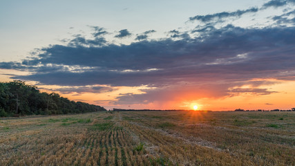 Beautiful Sunrise over the field.Summer evening in Blagoveshenskaya. Anapa, Russia.