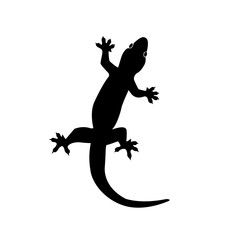 Lizard vector icon logo. Lizard symbols isolated on white background