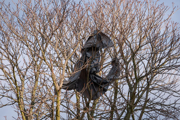 Big black plastic bag hanging on tree branches