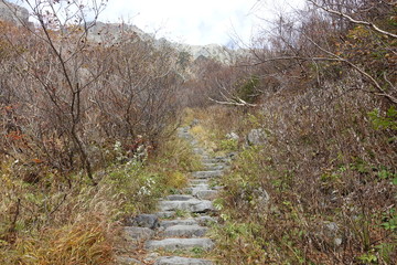 Fototapeta na wymiar Landscape of Kamikochi trail (Japan alps / Japanese mountain)