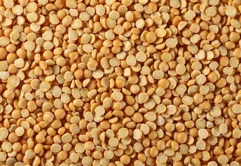 Yellow split peas background and texture