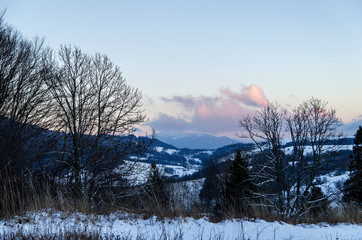gniazdo Tarnicy bieszczady zima 