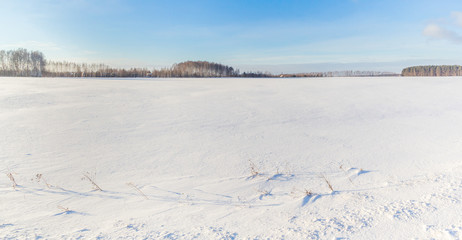Snow covered field on a day
