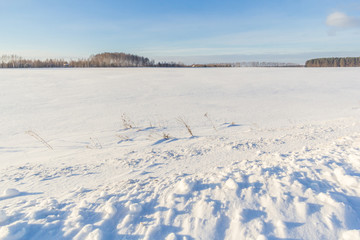 Snow covered field with forest on the horizon