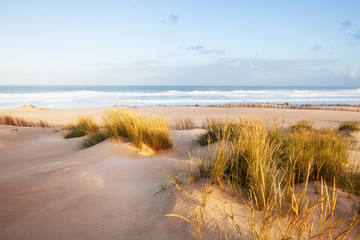 Sand dunes and ocean at sunny morning, Pensacola, Florida.
