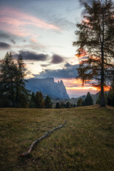 Naklejka na ściany i meble Sunset landscapes on Alpe di Siusi with Sassolungo or Langkofel Mountain Group in Background in autumn, South Tyrol, Italy