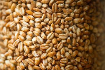 What is the healthiest bread you can eat?