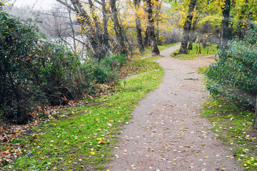 road with trees by the river in autumn