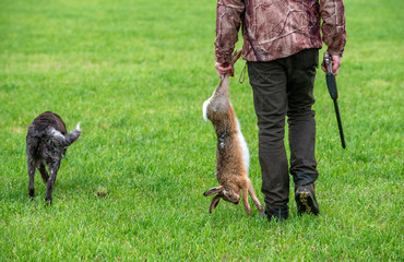 Hunting on hares