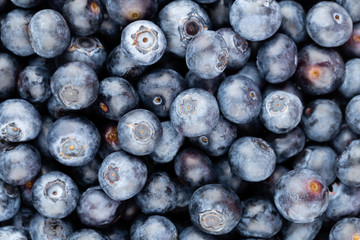 Fresh blueberry background. Texture blueberry berries close up.