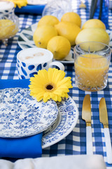 Obraz na płótnie Canvas Romantic picnic for two. Luxury table setting in blue, gold cutlery, ceramic plates, a checkered tablecloth, waffle dessert, orange juice and fruit, a cup of coffee. Yellow marigold flowers in a vase.