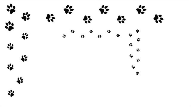 Frame paw prints of animal on a white.  Background with traces  Footprints  of animals. Cartoon comic funny paws.